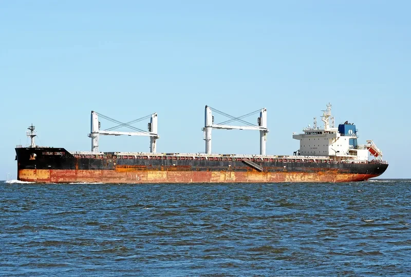 INTERLINK TENACITY Bulk Carrier IMO 9709257 photo 8