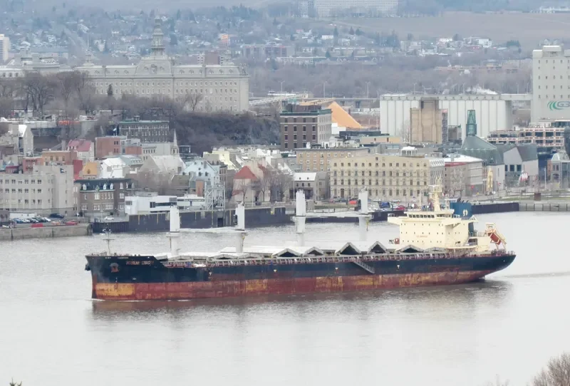 INTERLINK TENACITY Bulk Carrier IMO 9709257 photo 9