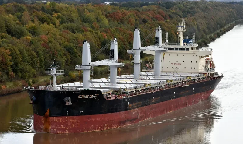 INTERLINK TENACITY Bulk Carrier IMO 9709257 photo 10