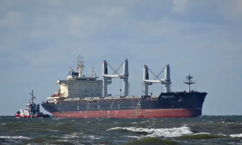 INTERLINK VERACITY Bulk Carrier IMO 9709269