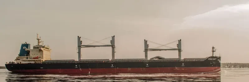 INTERLINK VERACITY Bulk Carrier IMO 9709269 photo 5