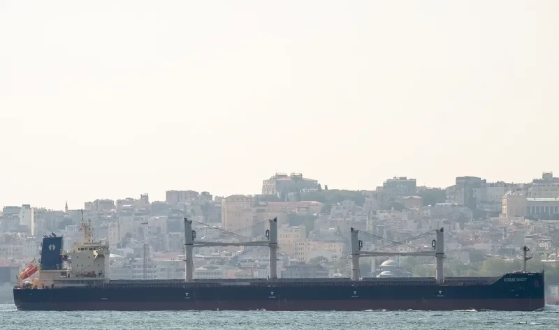 INTERLINK VERACITY Bulk Carrier IMO 9709269 photo 7