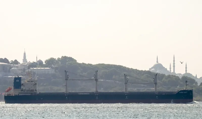 INTERLINK VERACITY Bulk Carrier IMO 9709269 photo 8