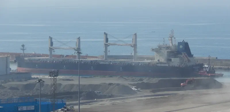 INTERLINK VERACITY Bulk Carrier IMO 9709269 photo 9