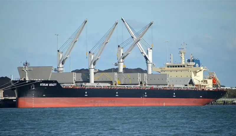 INTERLINK VERACITY Bulk Carrier IMO 9709269 photo 10