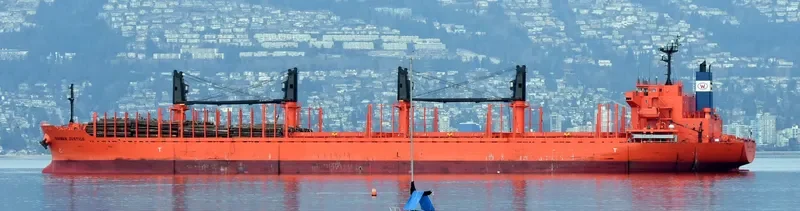 DAIWAN JUSTICE Bulk Carrier IMO 9709312 photo 10