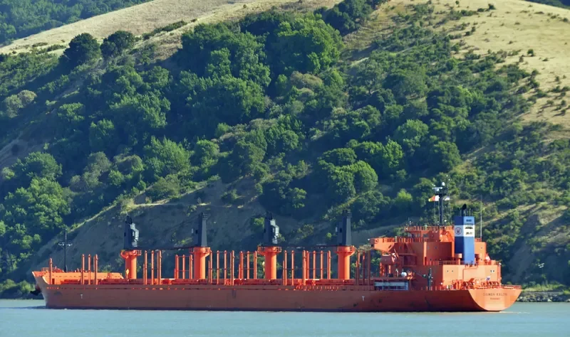 DAIWAN KALON Bulk Carrier IMO 9709324 photo 2
