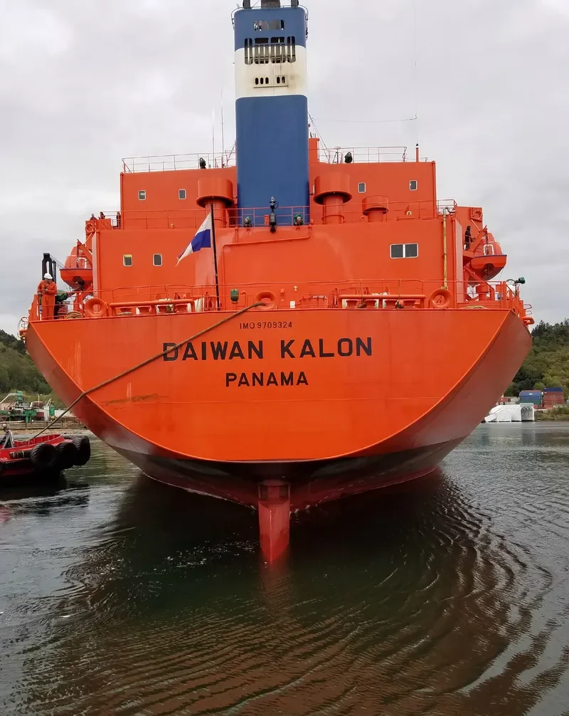 DAIWAN KALON Bulk Carrier IMO 9709324 photo 3