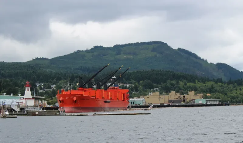 DAIWAN KALON Bulk Carrier IMO 9709324 photo 5
