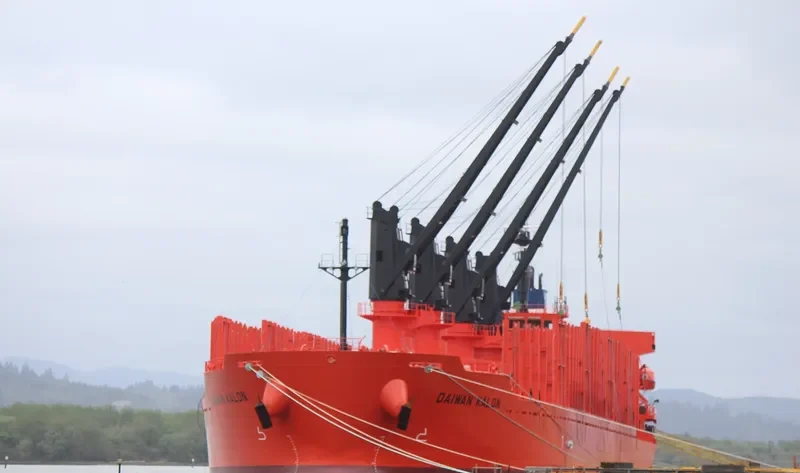 DAIWAN KALON Bulk Carrier IMO 9709324 photo 7