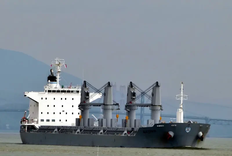 ALKYONIS Bulk Carrier IMO 9709465 photo 8