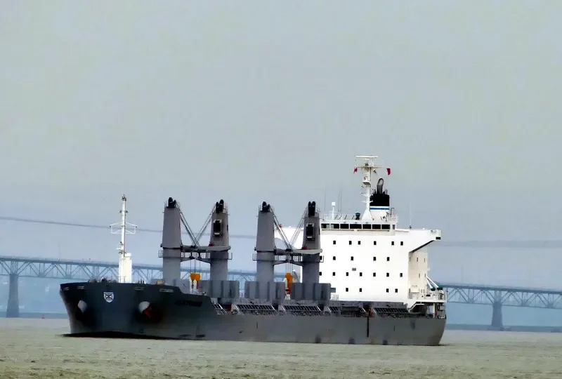 ALKYONIS Bulk Carrier IMO 9709465 photo 10