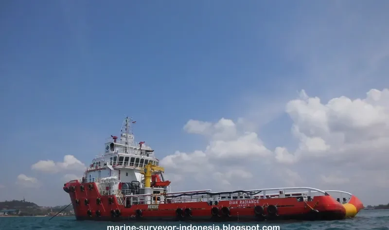 DIAN RADIANCE General Cargo IMO 9709673