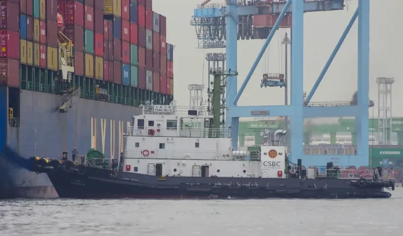 CSBC NO.12 General Cargo IMO 9709764 photo 2