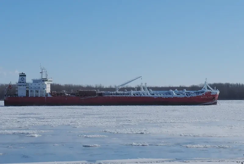 HAFNIA DAISY Tanker IMO 9709788