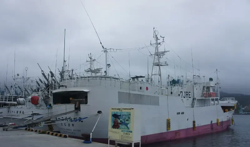KAIGATA MARU NO.128 General Cargo IMO 9709831