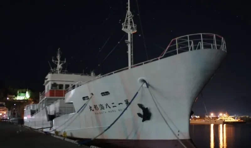KAIGATA MARU NO.128 General Cargo IMO 9709831 photo 2