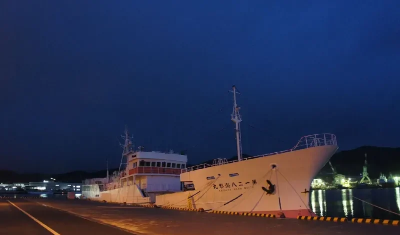 KAIGATA MARU NO.128 General Cargo IMO 9709831 photo 3