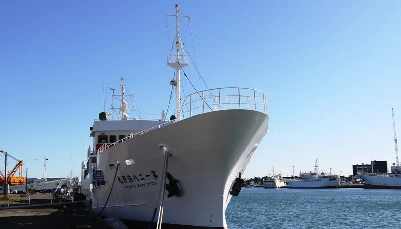 KAIGATA MARU NO.128 General Cargo IMO 9709831 photo 4