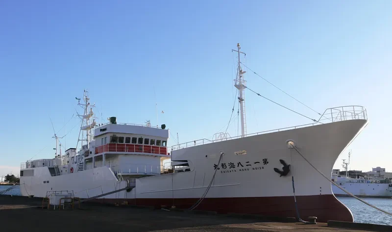 KAIGATA MARU NO.128 General Cargo IMO 9709831 photo 5