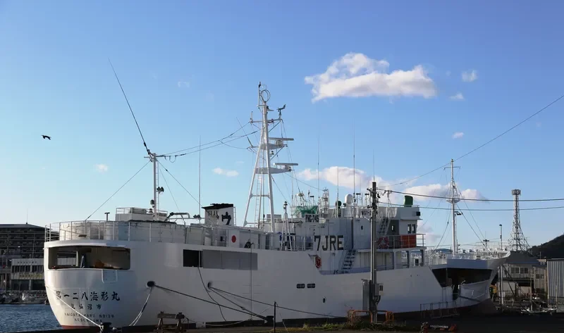 KAIGATA MARU NO.128 General Cargo IMO 9709831 photo 6