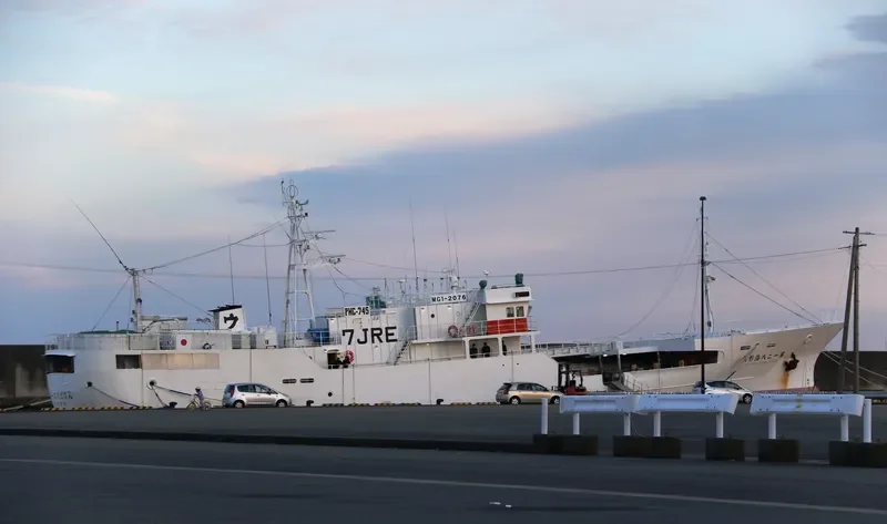 KAIGATA MARU NO.128 General Cargo IMO 9709831 photo 7