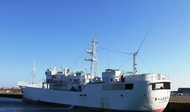KAIGATA MARU NO.128 General Cargo IMO 9709831 photo 9