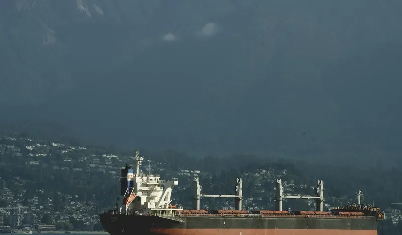 MAGIA Bulk Carrier IMO 9710036 photo 2