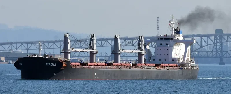 MAGIA Bulk Carrier IMO 9710036 photo 4