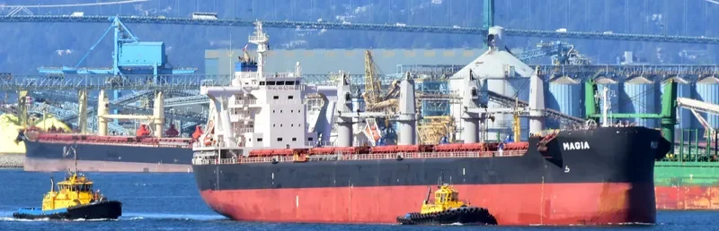 MAGIA Bulk Carrier IMO 9710036 photo 6