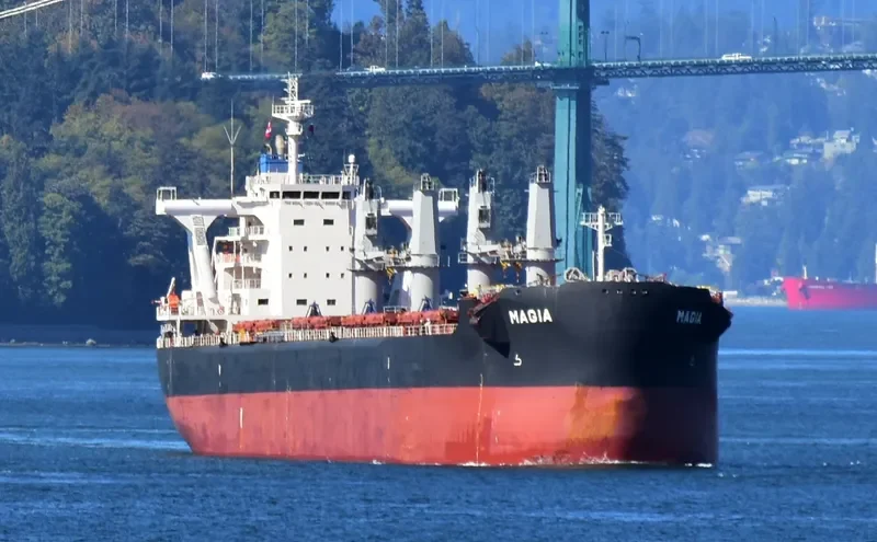 MAGIA Bulk Carrier IMO 9710036 photo 7