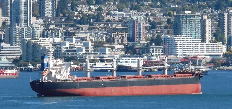 MAGIA Bulk Carrier IMO 9710036 photo 8