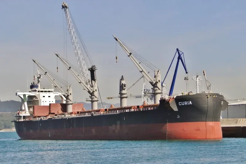 CURIA Bulk Carrier IMO 9710048 photo 3