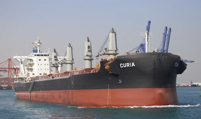 CURIA Bulk Carrier IMO 9710048 photo 7