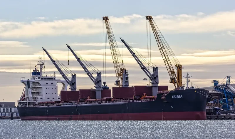 CURIA Bulk Carrier IMO 9710048 photo 8