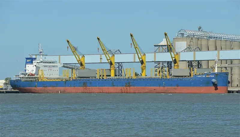 YANGTZE KEEPER Bulk Carrier IMO 9710086 photo 6