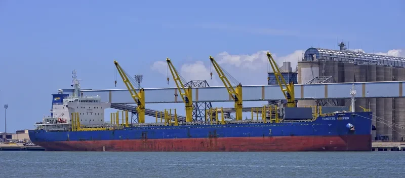 YANGTZE KEEPER Bulk Carrier IMO 9710086 photo 7