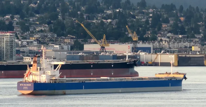 BTG RAINIER Bulk Carrier IMO 9710139 photo 2