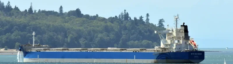 BTG RAINIER Bulk Carrier IMO 9710139 photo 3