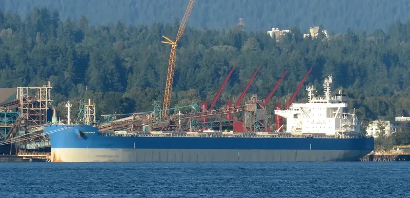BTG RAINIER Bulk Carrier IMO 9710139 photo 4