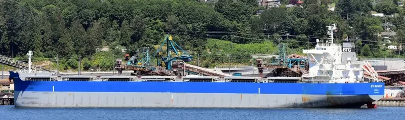 BTG RAINIER Bulk Carrier IMO 9710139 photo 5