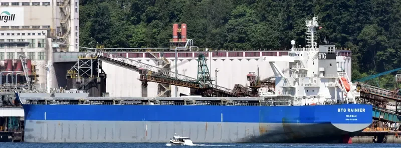 BTG RAINIER Bulk Carrier IMO 9710139 photo 6