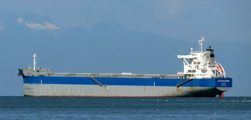 BTG RAINIER Bulk Carrier IMO 9710139 photo 7