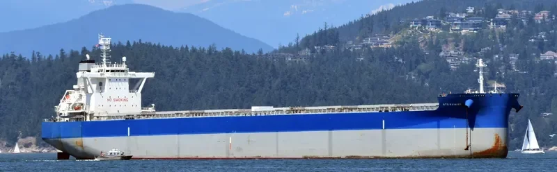 BTG RAINIER Bulk Carrier IMO 9710139 photo 8