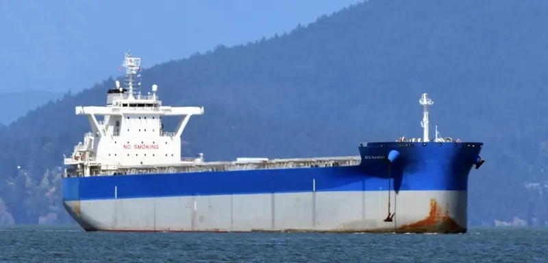 BTG RAINIER Bulk Carrier IMO 9710139 photo 9