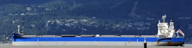 BTG OLYMPOS Bulk Carrier IMO 9710141 photo 3