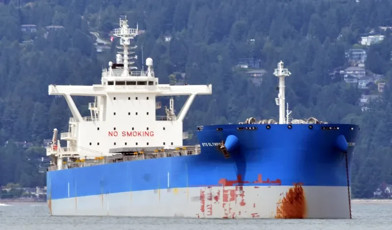 BTG OLYMPOS Bulk Carrier IMO 9710141 photo 4