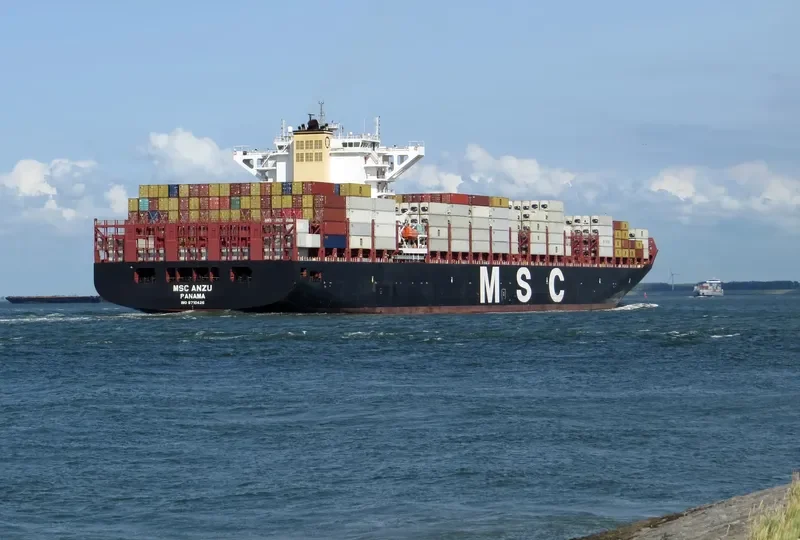 MSC ANZU Container Ship IMO 9710426