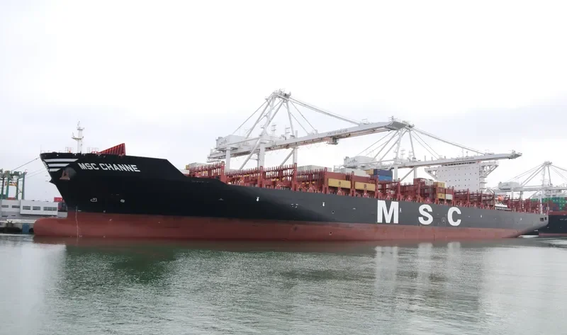 MSC CHANNE Container Ship IMO 9710438
