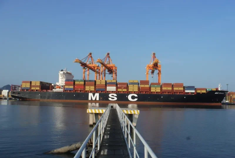MSC CHANNE Container Ship IMO 9710438 photo 5